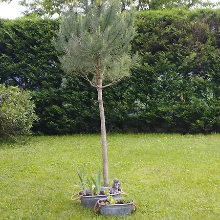 Au Coeur De Menesterol לינה וארוחת בוקר 3*