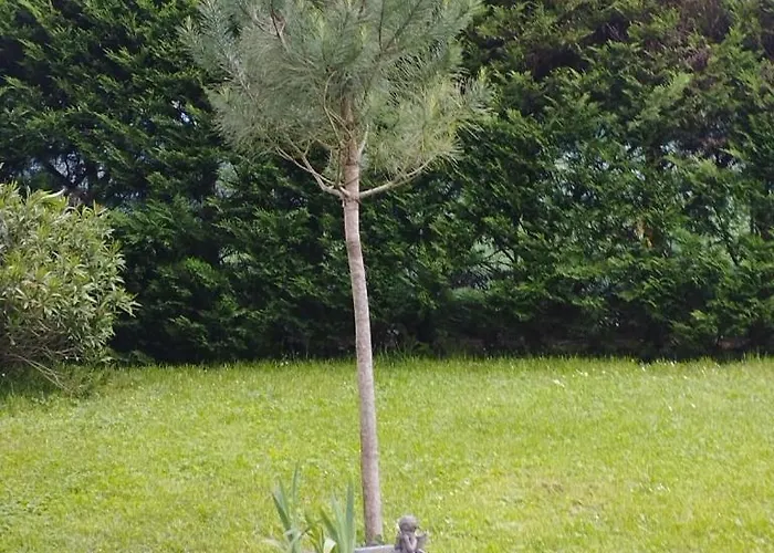 Au Coeur De Menesterol Nocleg ze śniadaniem 3*