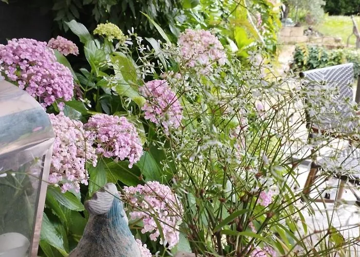 Au Coeur De Menesterol Nocleg ze śniadaniem